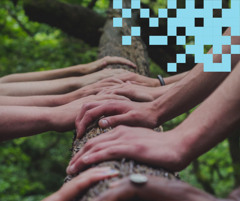 Käsiä rivissä puunrungon päällä, taustalla vihreää metsää ja turkoosit pikselit.