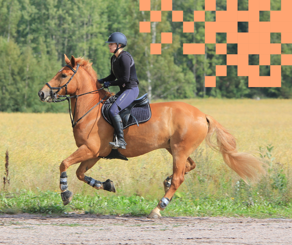 Nainen ratsastaa ruskealla hevosella, taustalla peltoa ja metsää. Oranssit pikselit oikeassa yläkulmassa.